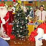 Новый год 2013