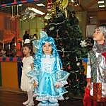 Новый год 2013