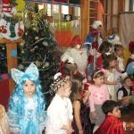 Новый год 2013